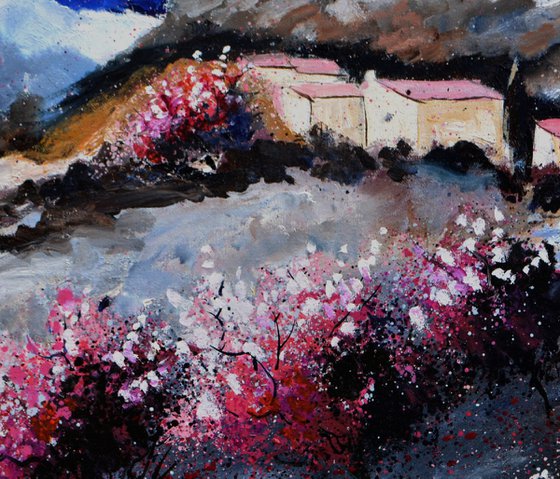 Pink trees in Provence
