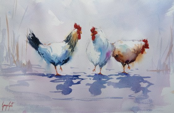 roosters and hens 10