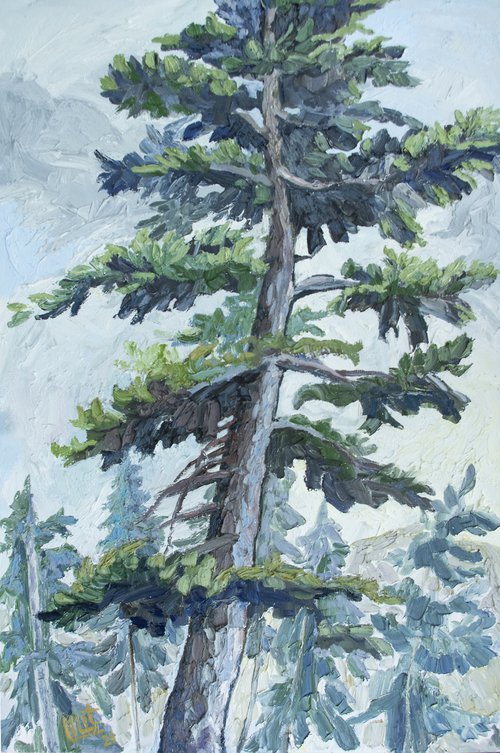 Huge Pine by Lilit Vardanyan