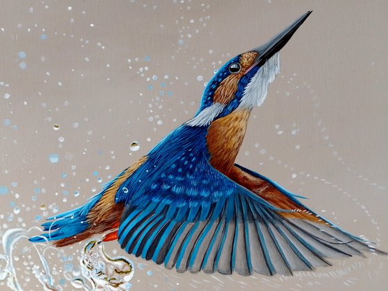 Kingfisher