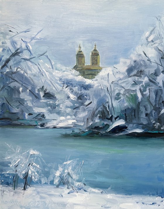 Winter in Central Park