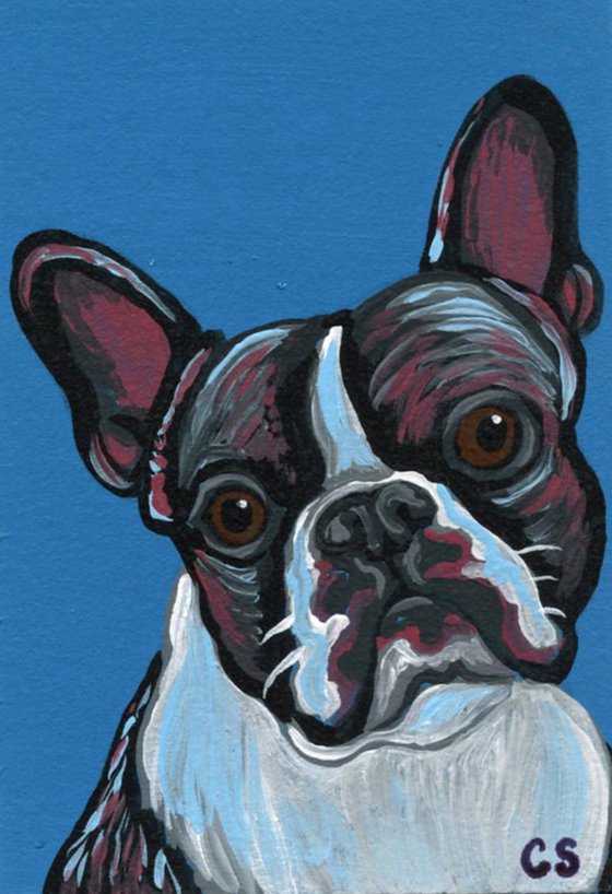 ACEO ATC Original Miniature Painting French Bulldog Pet Dog Art-Carla Smale