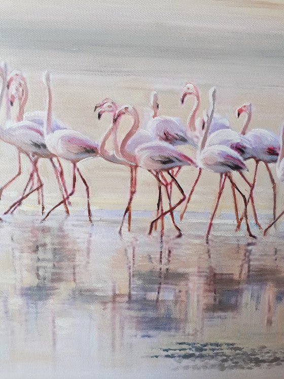 A MORNING BEACH PATROL / FLAMINGOS