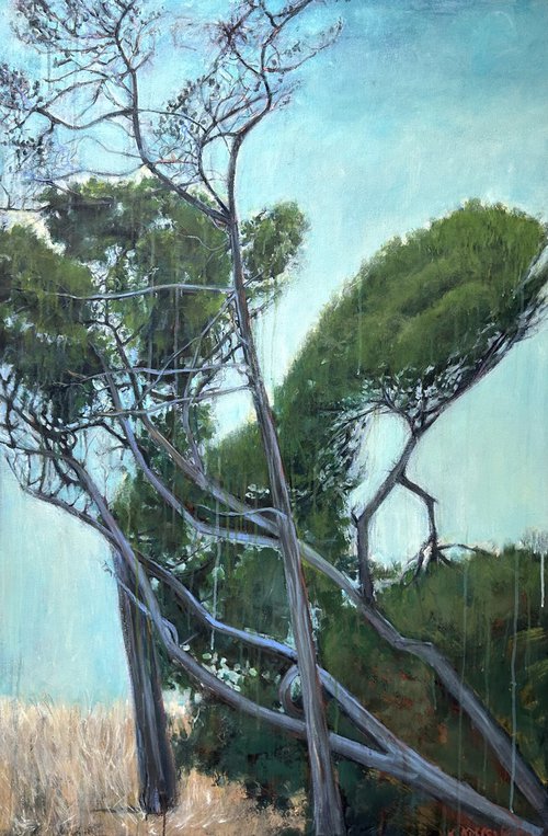 Tree Dance by Leah Kohlenberg