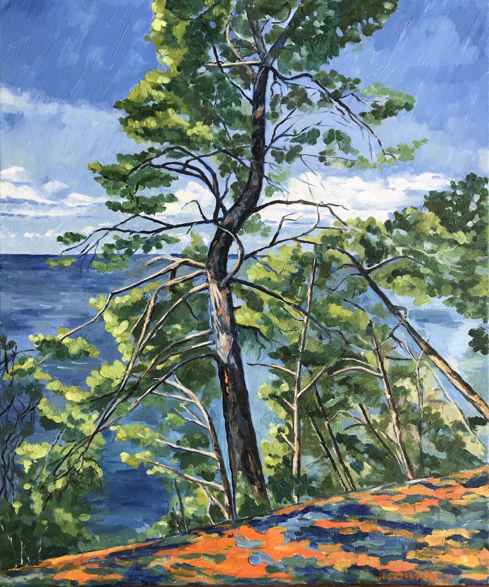 The Poise Of A Pine By Natalia Bessmertnova, 20 X 24, Artwork For Sale On Artfinder
