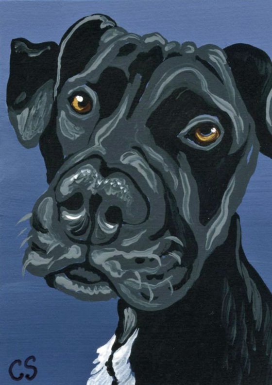 ACEO ATC Original Painting Black Great Dane Pet Dog Pup Art-Carla Smale