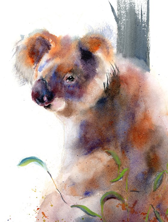 Koala