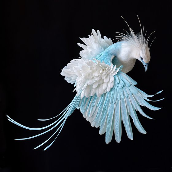 Victoria Crowned Pigeon