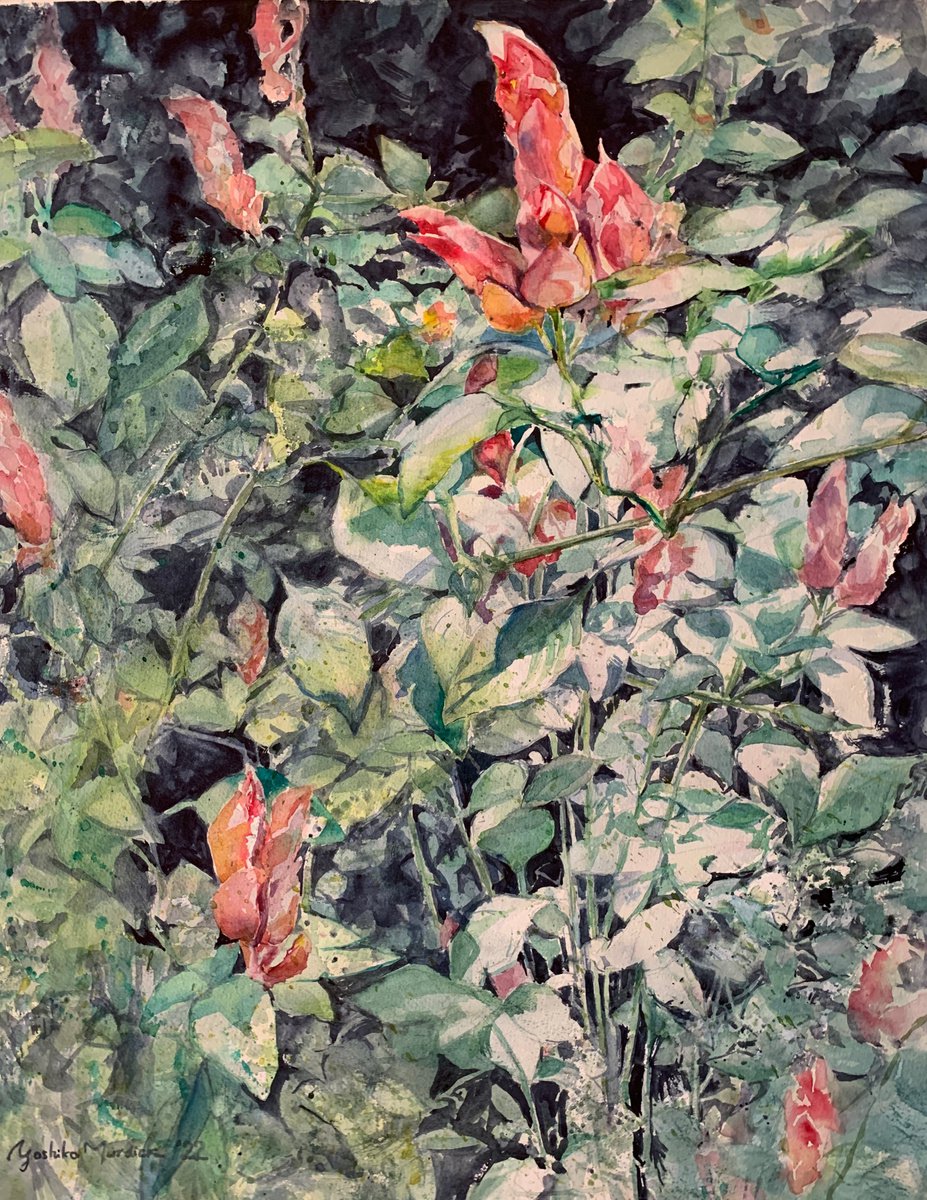 Impressionistic Watercolour , Shrimp Plants By Yoshiko Murdick, 19 X 25, Artwork For Sale On Artfinder