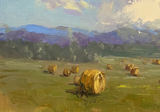 Hay Bales And Clouds Oil Sketch