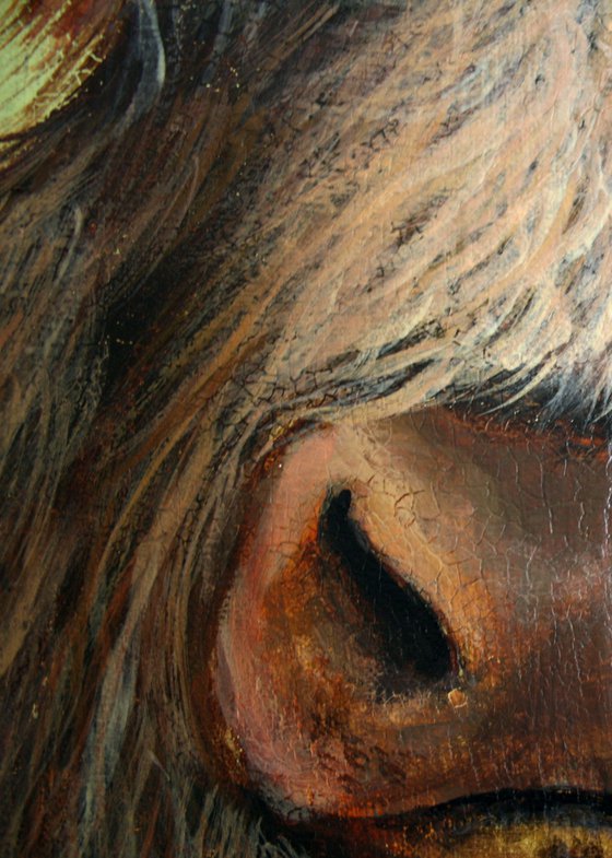 Highland Cow /  ORIGINAL PAINTING