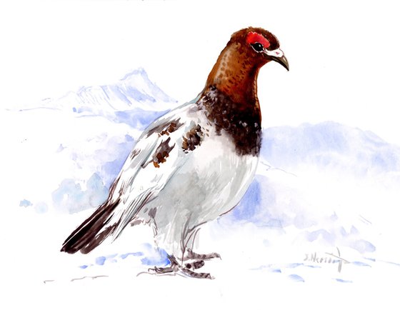 willow ptarmigan