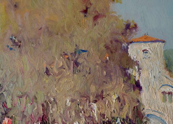 Garden With Roses