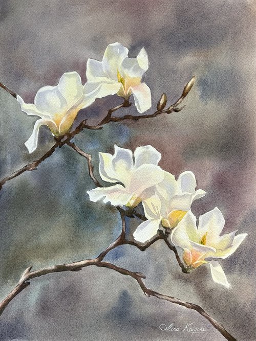 Magnolia by Alina Karpova