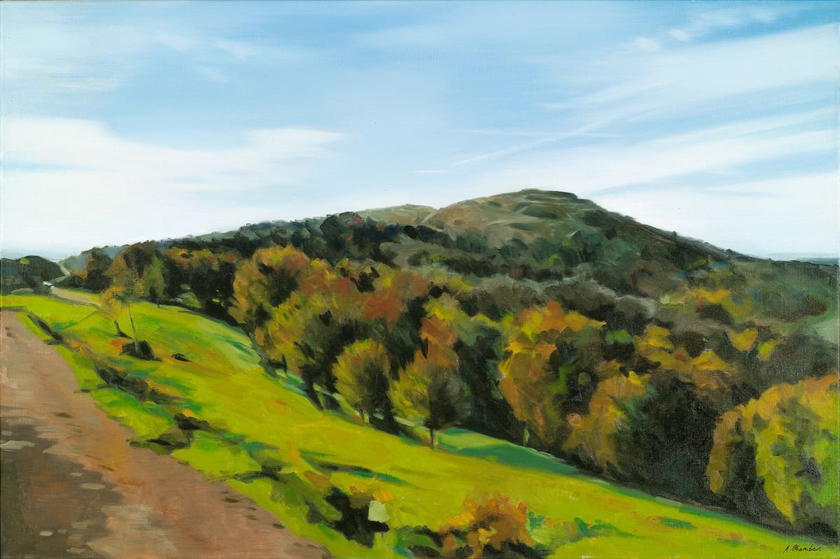 Alison Chambers | Original  Oil Painting | Towards British Camp | 109 X 74Cm | Artwork For Sale On Artfinder