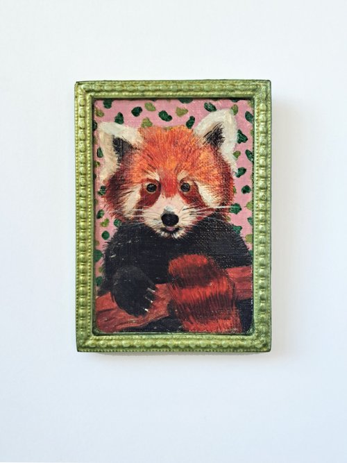 Red panda, part of framed animal miniature series "festum animalium" by Andromachi Giannopoulou