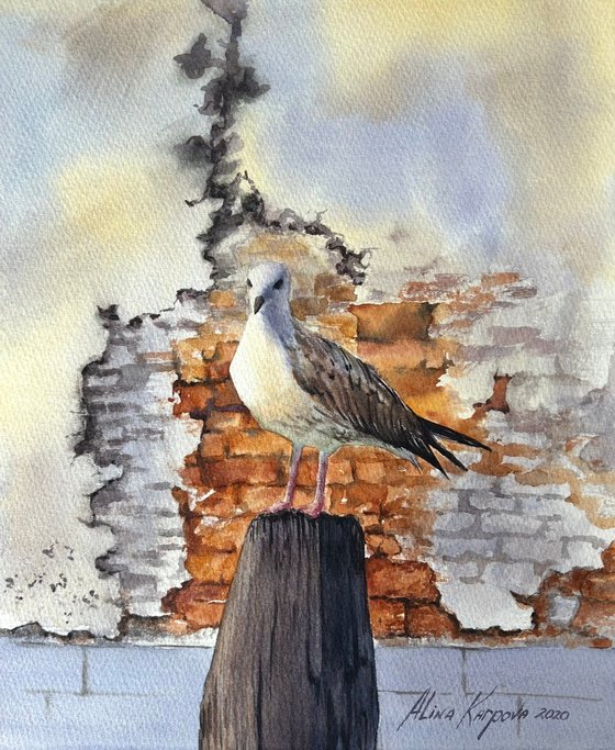 Seagull and old brick wall Venice