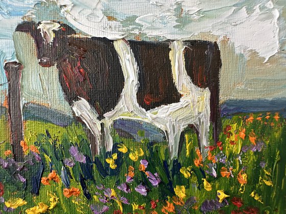A cow in a field