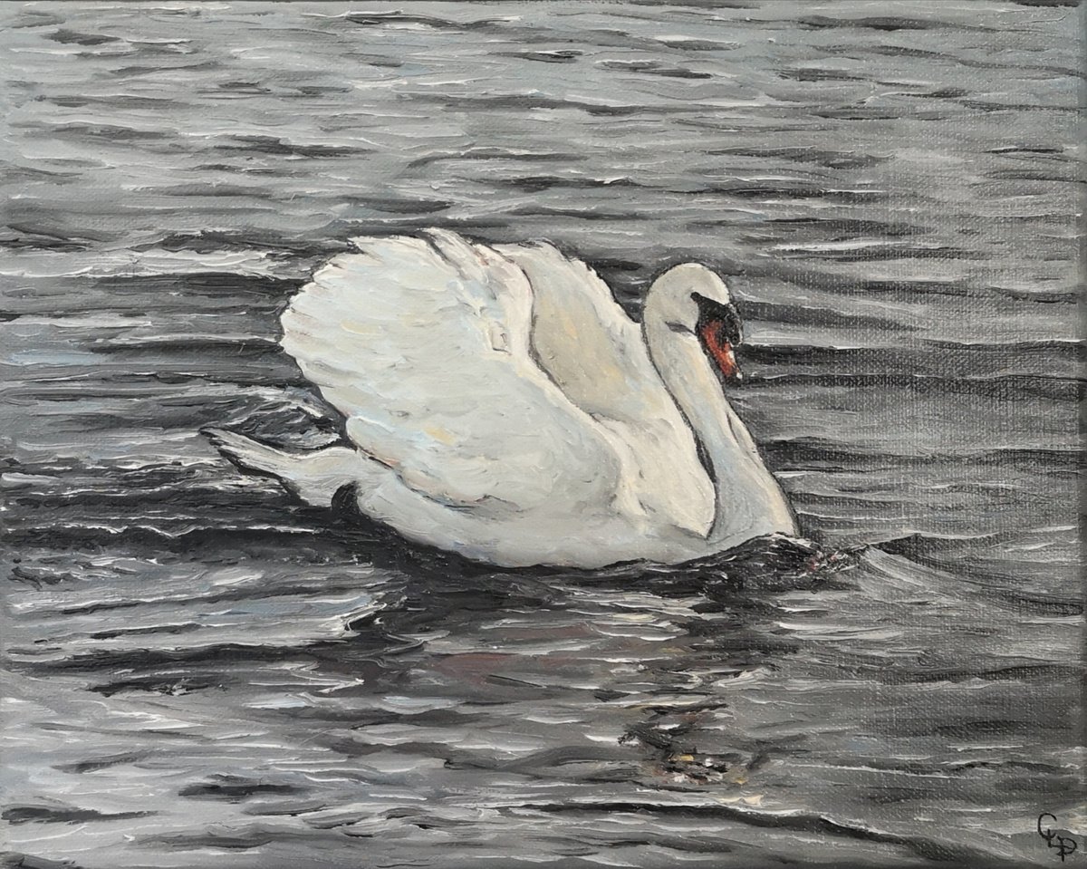 Swan by Cecile Pardigon