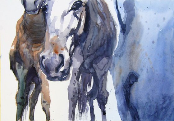 Three horses..