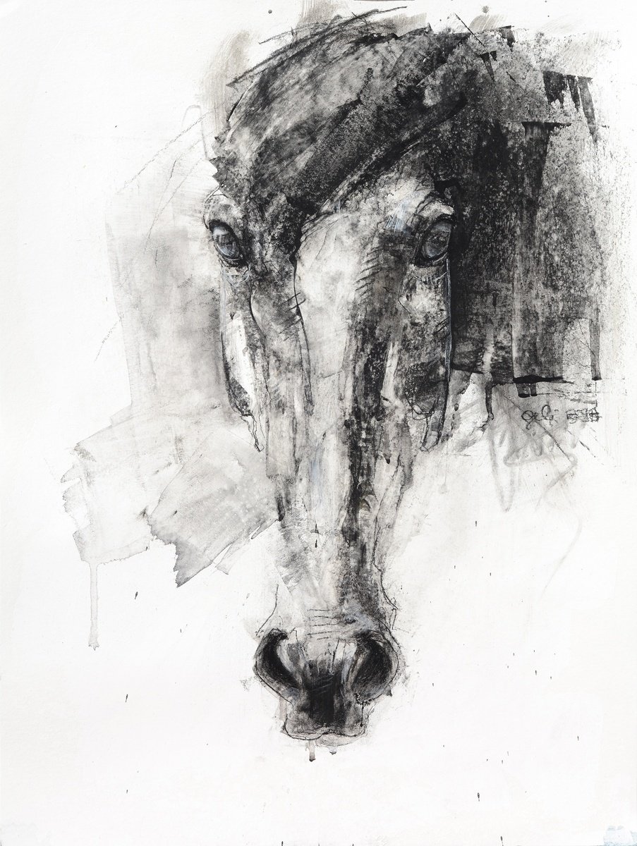 Expressive Animal Charcoal Drawing By Benedicte Gele, 17 X 22, Face To Face 14P, Original Artwork
