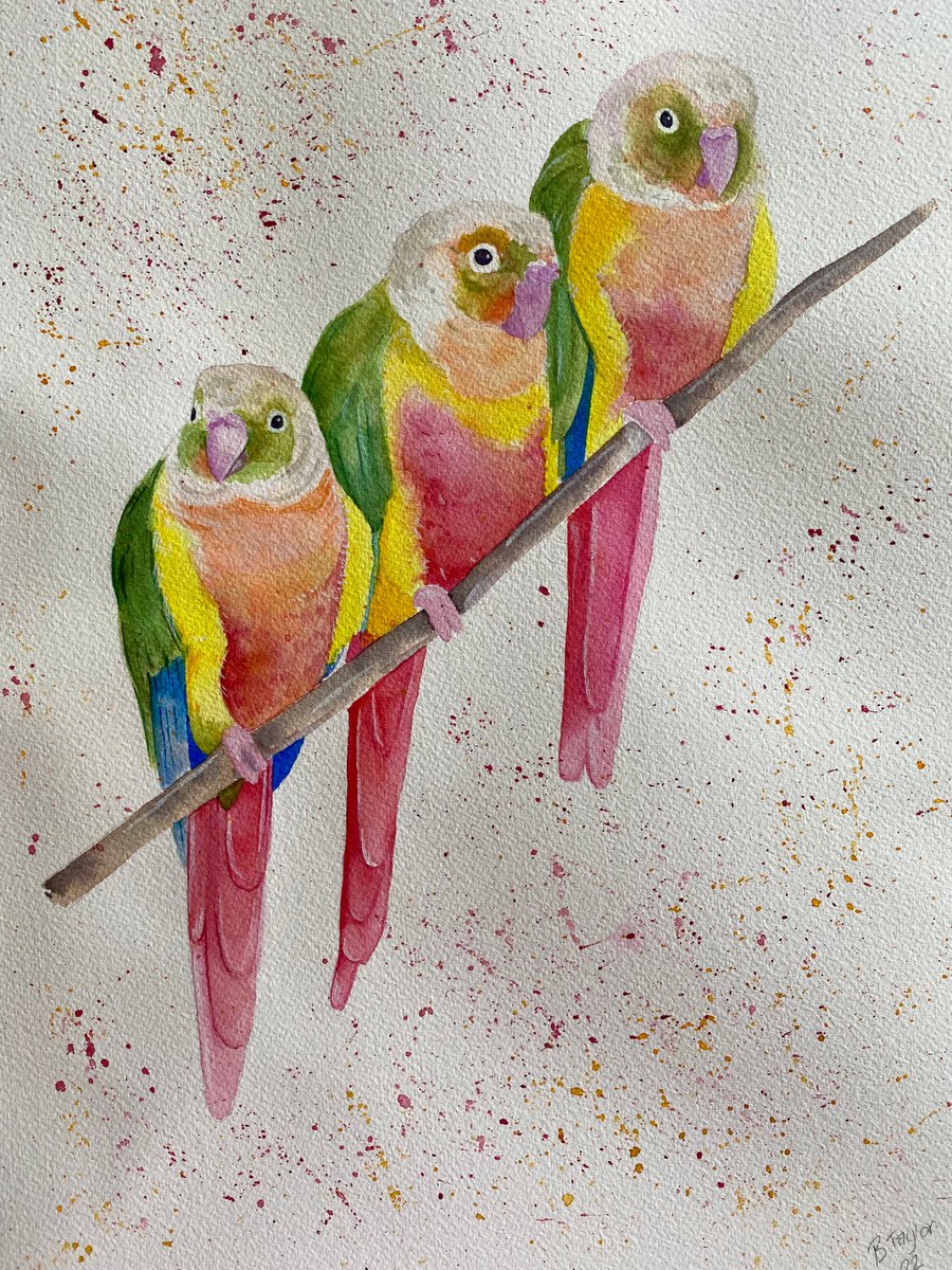 Green cheek conure party. Watercolour painting by Bethany Taylor