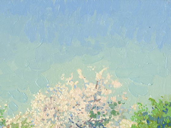May. Apple trees in bloom