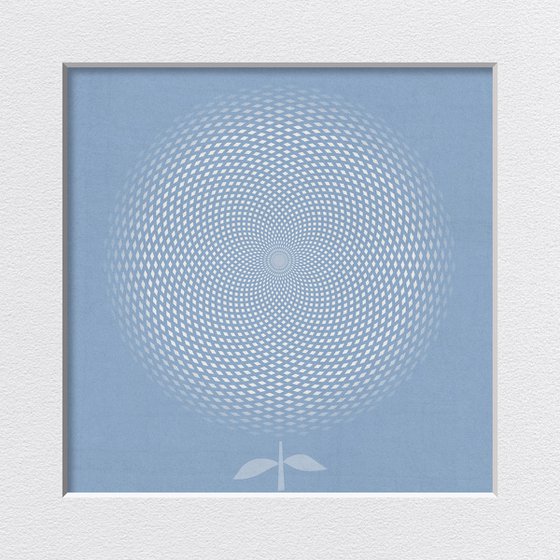 White flower on a blue background