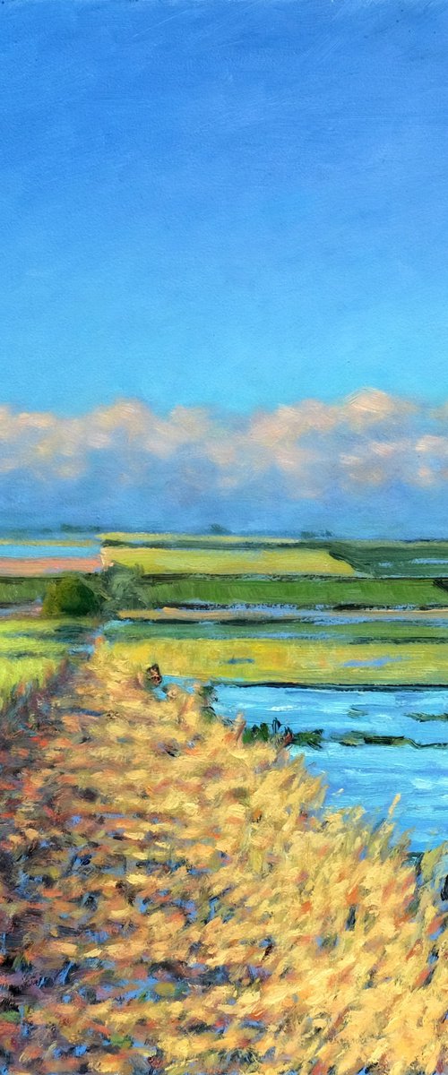 Sommer fields by Richard Mierniczak