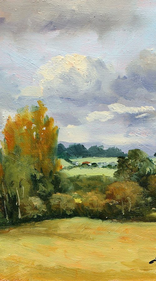 Autumn by José DAOUDAL