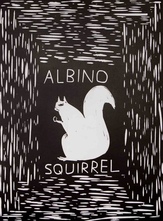 Albino Squirrel