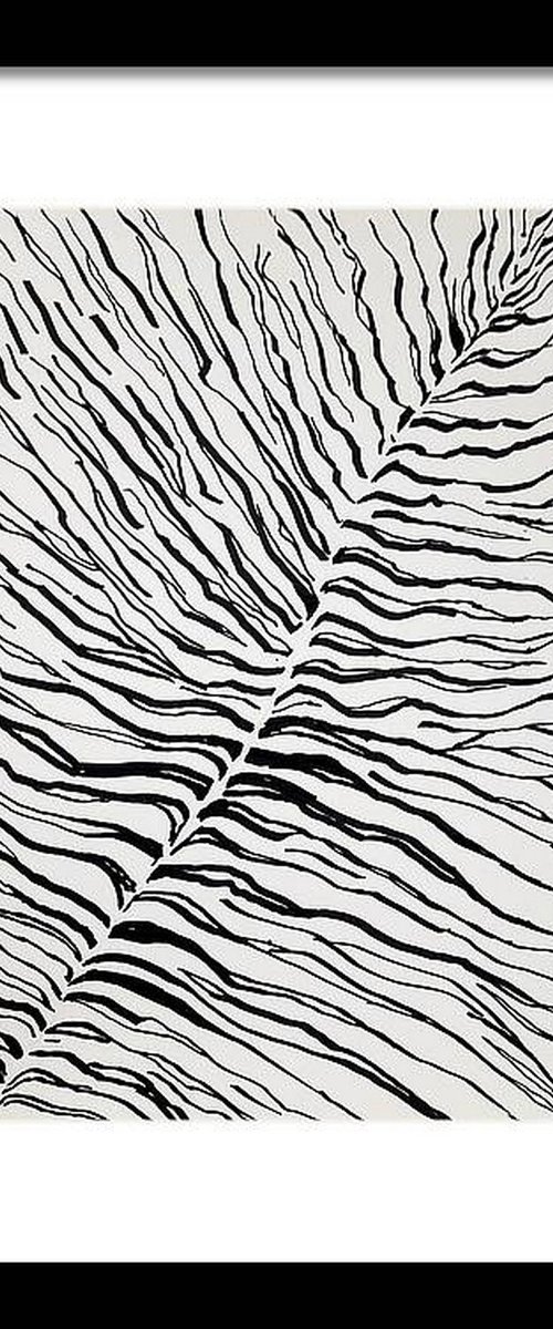 Stripes 1 Black and White by Asha Shenoy