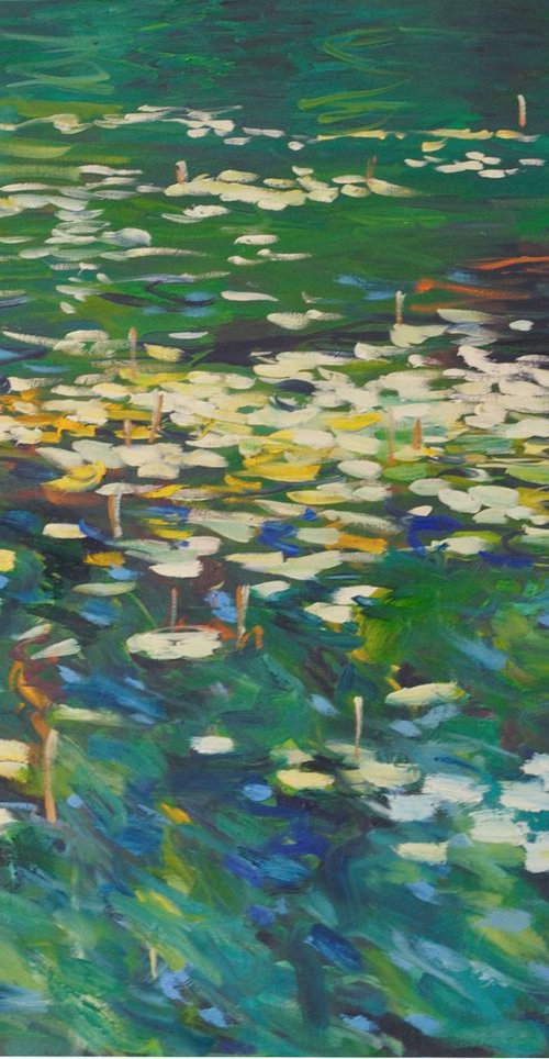 Morning light waterlilies pond by Nataliia Nosyk