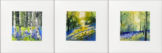 3 bluebell watercolours
