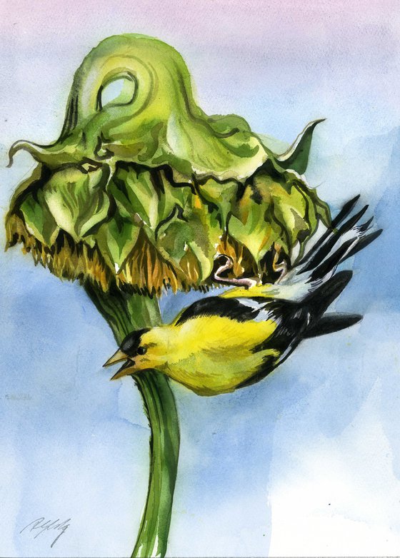 gold finch with sunflower