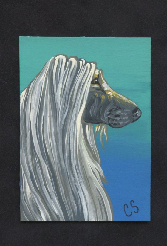 ACEO ATC Original Painting Afghan Pet Dog Art-Carla Smale