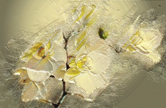 Orquídea