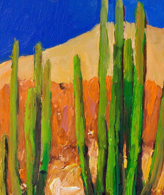Bright Summer Day. Cactuses in the Desert.
