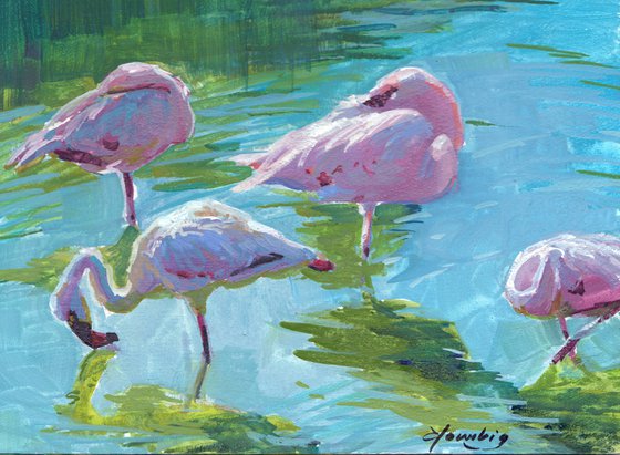 Pink Flamingos