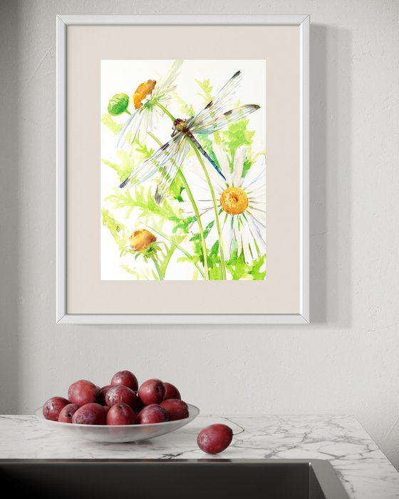 Dragonfly and Chamomiles