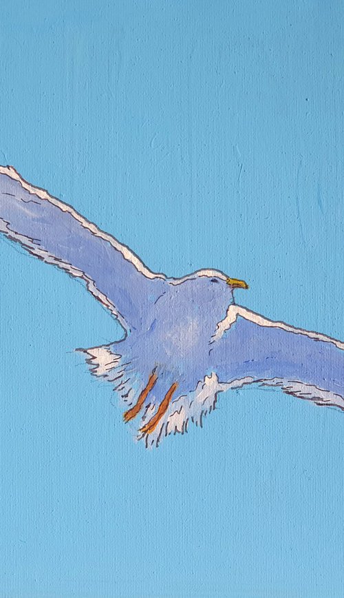 Seagull #1 by Colin Ross Jack