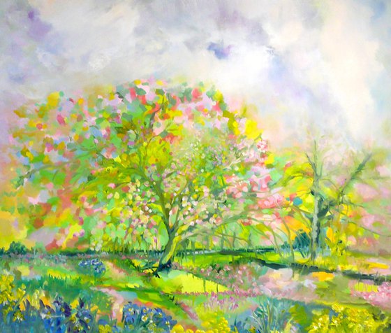 Cherry Blossom Lane 2025