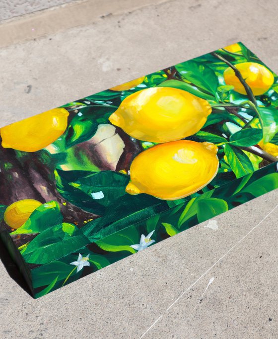 Lemon Tree
