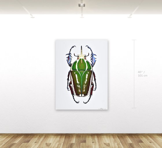 Flower Beetle #2