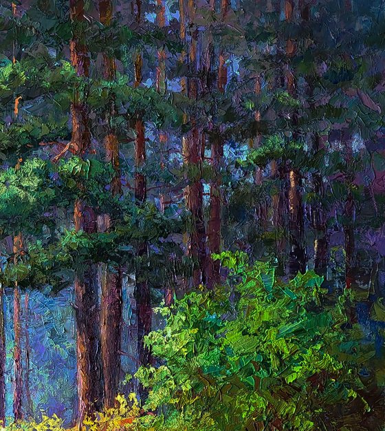 The Beginning of Autumn in the Forest