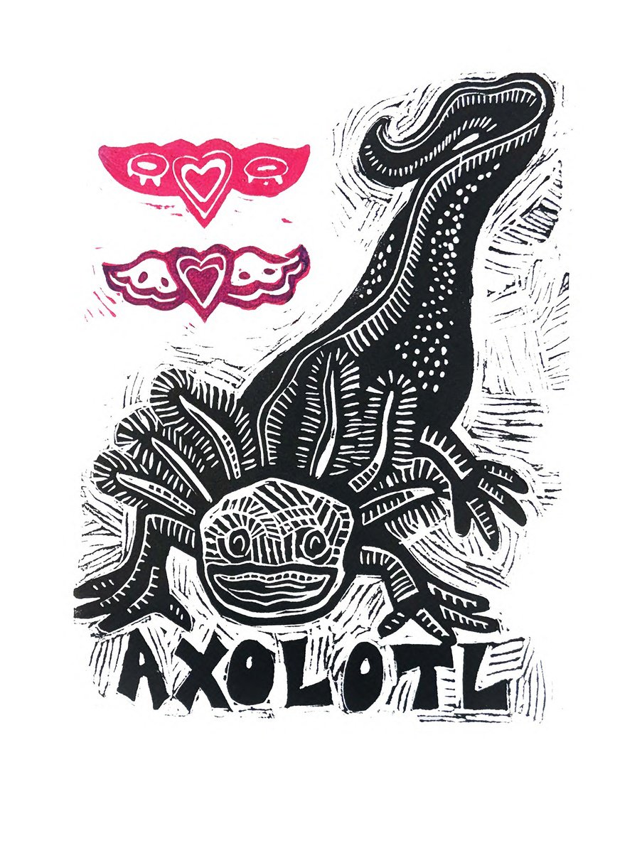 Illustrative Linocut , Axolotl By Laurel Macdonald, 11 X 14, Artwork For Sale On Artfinder