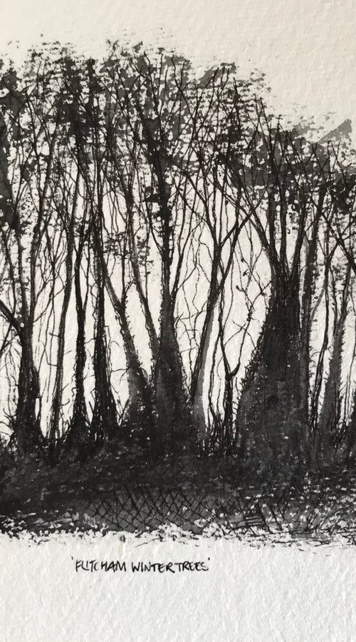 Flitcham Winter Trees in Pen and Ink - Norfolk by Catherine Winget