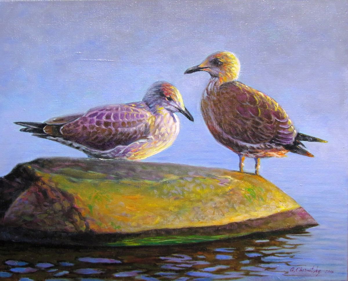 Seagulls by Alexander Chernitsky