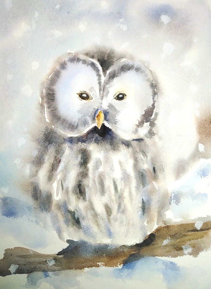 Snow owl bird artwork, watercolor illustration by Tanya Amos