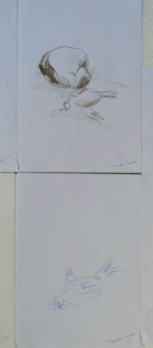 Six sketches - Birds, 21x29 cm - affordable & AF exclusive ! by Frederic Belaubre